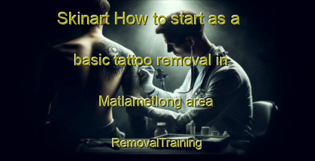 Skinart How to start as a basic tattoo removal in Matlametlong area | RemovalTraining | RemovalClasses | SkinartTraining-South Africa