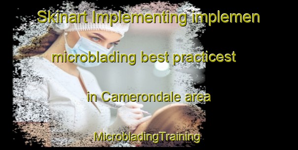 Skinart Implementing implemen microblading best practicest in Camerondale area | #MicrobladingTraining #MicrobladingClasses #SkinartTraining-South Africa