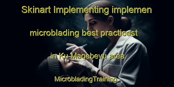 Skinart Implementing implemen microblading best practicest in Ku Maqebevu area | #MicrobladingTraining #MicrobladingClasses #SkinartTraining-South Africa