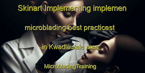 Skinart Implementing implemen microblading best practicest in Kwadlaulale area | MicrobladingTraining | MicrobladingClasses | SkinartTraining-South Africa