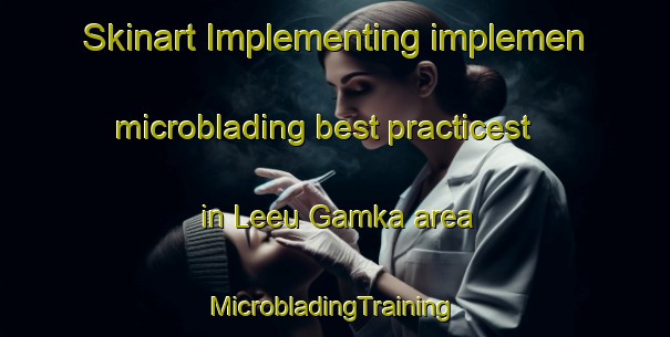 Skinart Implementing implemen microblading best practicest in Leeu Gamka area | #MicrobladingTraining #MicrobladingClasses #SkinartTraining-South Africa