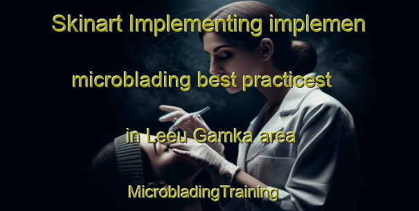 Skinart Implementing implemen microblading best practicest in Leeu Gamka area | MicrobladingTraining | MicrobladingClasses | SkinartTraining-South Africa