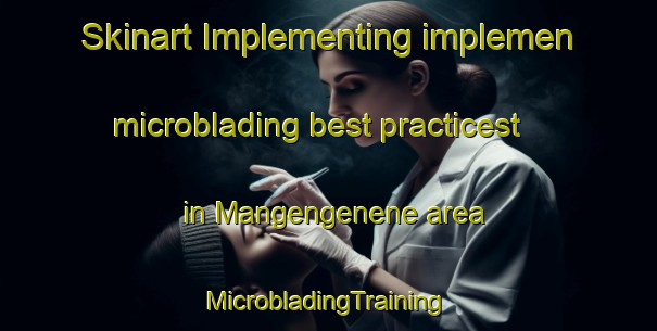 Skinart Implementing implemen microblading best practicest in Mangengenene area | #MicrobladingTraining #MicrobladingClasses #SkinartTraining-South Africa