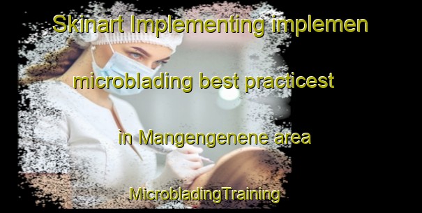 Skinart Implementing implemen microblading best practicest in Mangengenene area | MicrobladingTraining | MicrobladingClasses | SkinartTraining-South Africa
