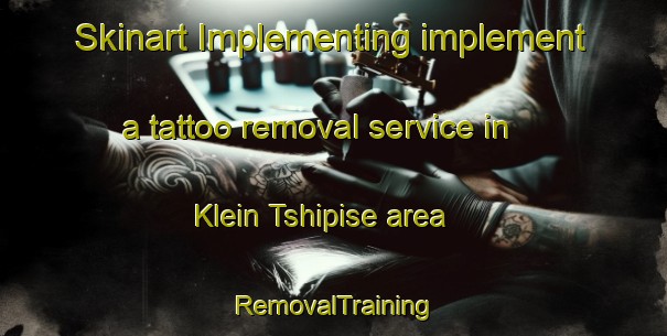 Skinart Implementing implement a tattoo removal service in Klein Tshipise area | RemovalTraining | RemovalClasses | SkinartTraining-South Africa