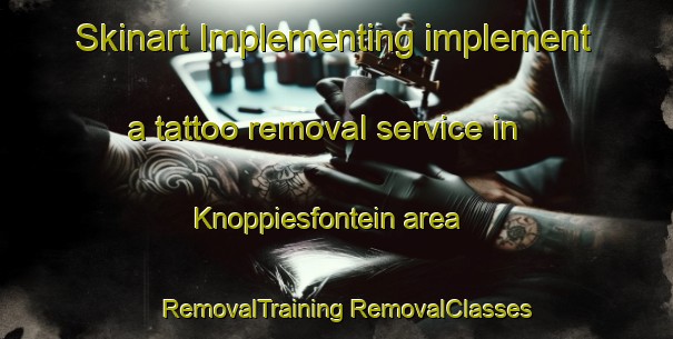 Skinart Implementing implement a tattoo removal service in Knoppiesfontein area | #RemovalTraining #RemovalClasses #SkinartTraining-South Africa