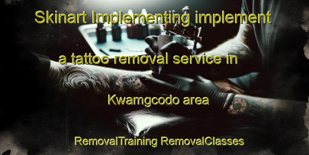 Skinart Implementing implement a tattoo removal service in Kwamgcodo area | #RemovalTraining #RemovalClasses #SkinartTraining-South Africa