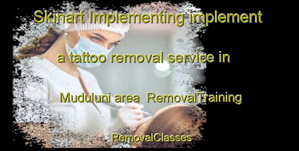 Skinart Implementing implement a tattoo removal service in Muduluni area | RemovalTraining | RemovalClasses | SkinartTraining-South Africa