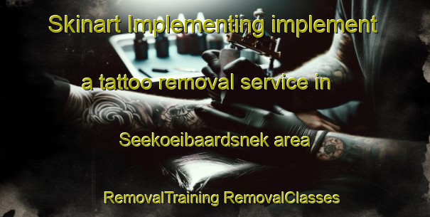 Skinart Implementing implement a tattoo removal service in Seekoeibaardsnek area | #RemovalTraining #RemovalClasses #SkinartTraining-South Africa