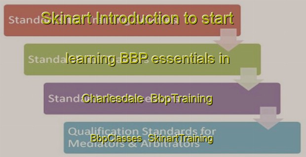 Skinart Introduction to start learning BBP essentials in Charlesdale | BbpTraining | BbpClasses | SkinartTraining-South Africa