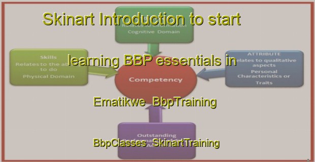 Skinart Introduction to start learning BBP essentials in Ematikwe | BbpTraining | BbpClasses | SkinartTraining-South Africa