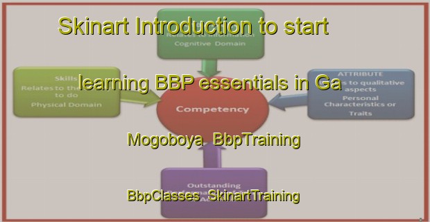 Skinart Introduction to start learning BBP essentials in Ga Mogoboya | BbpTraining | BbpClasses | SkinartTraining-South Africa