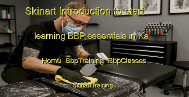 Skinart Introduction to start learning BBP essentials in Ka Homu | BbpTraining | BbpClasses | SkinartTraining-South Africa