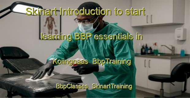 Skinart Introduction to start learning BBP essentials in Koiingnaas | BbpTraining | BbpClasses | SkinartTraining-South Africa