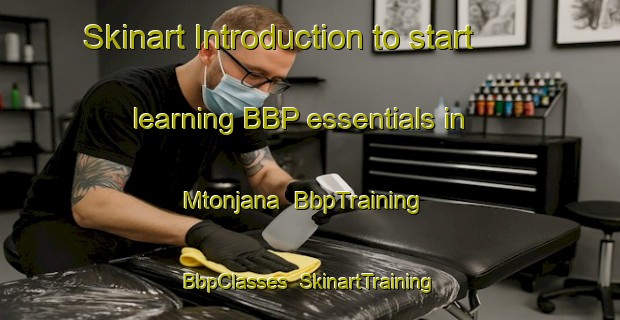 Skinart Introduction to start learning BBP essentials in Mtonjana | BbpTraining | BbpClasses | SkinartTraining-South Africa