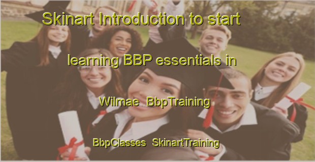Skinart Introduction to start learning BBP essentials in Wilmae | BbpTraining | BbpClasses | SkinartTraining-South Africa