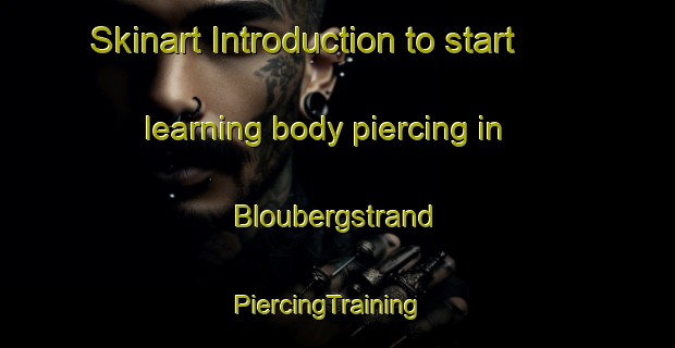 Skinart Introduction to start learning body piercing in Bloubergstrand | PiercingTraining | PiercingClasses | SkinartTraining-South Africa