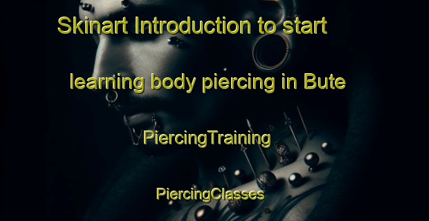 Skinart Introduction to start learning body piercing in Bute | PiercingTraining | PiercingClasses | SkinartTraining-South Africa