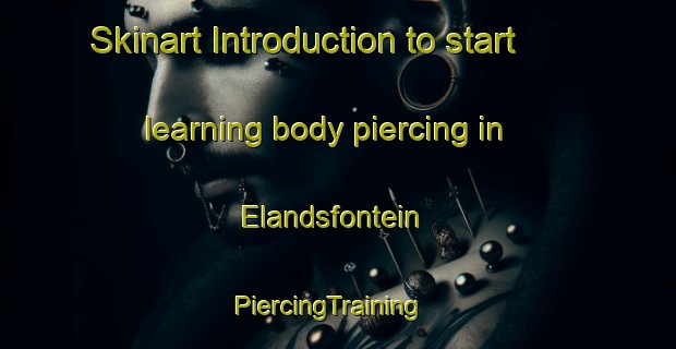 Skinart Introduction to start learning body piercing in Elandsfontein | PiercingTraining | PiercingClasses | SkinartTraining-South Africa