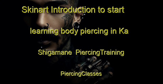 Skinart Introduction to start learning body piercing in Ka Shigamane | #PiercingTraining #PiercingClasses #SkinartTraining-South Africa