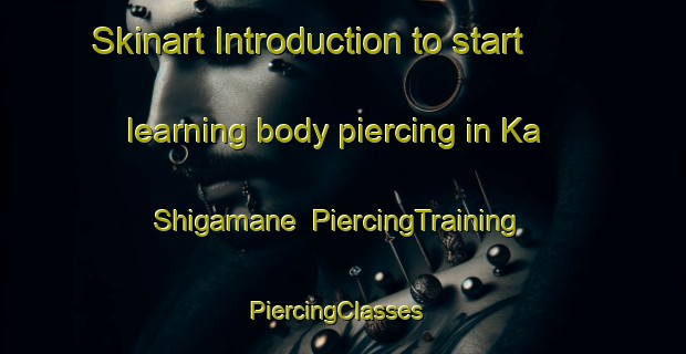 Skinart Introduction to start learning body piercing in Ka Shigamane | PiercingTraining | PiercingClasses | SkinartTraining-South Africa