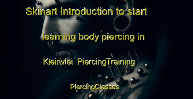 Skinart Introduction to start learning body piercing in Kleinvlei | PiercingTraining | PiercingClasses | SkinartTraining-South Africa