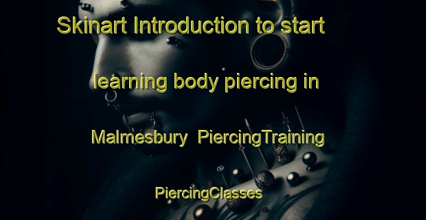Skinart Introduction to start learning body piercing in Malmesbury | PiercingTraining | PiercingClasses | SkinartTraining-South Africa