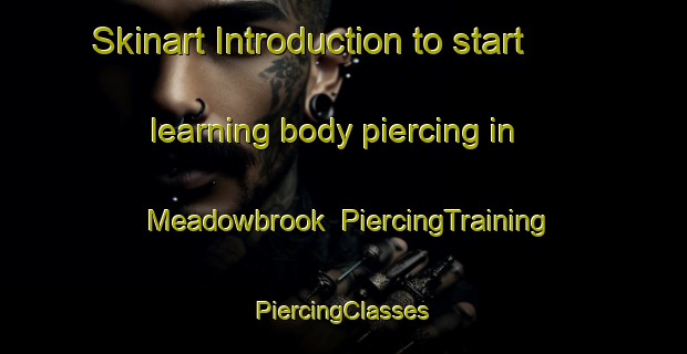 Skinart Introduction to start learning body piercing in Meadowbrook | #PiercingTraining #PiercingClasses #SkinartTraining-South Africa