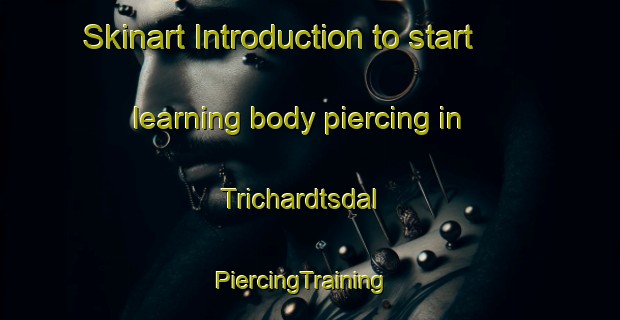 Skinart Introduction to start learning body piercing in Trichardtsdal | PiercingTraining | PiercingClasses | SkinartTraining-South Africa
