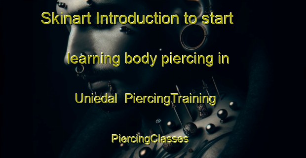 Skinart Introduction to start learning body piercing in Uniedal | PiercingTraining | PiercingClasses | SkinartTraining-South Africa