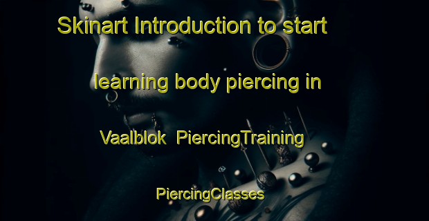 Skinart Introduction to start learning body piercing in Vaalblok | PiercingTraining | PiercingClasses | SkinartTraining-South Africa
