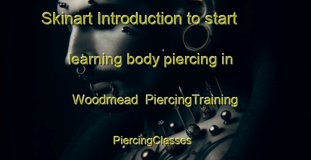 Skinart Introduction to start learning body piercing in Woodmead | PiercingTraining | PiercingClasses | SkinartTraining-South Africa