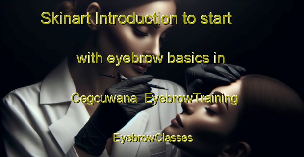Skinart Introduction to start with eyebrow basics in Cegcuwana | EyebrowTraining | EyebrowClasses | SkinartTraining-South Africa