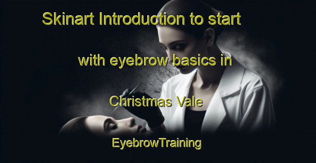 Skinart Introduction to start with eyebrow basics in Christmas Vale | EyebrowTraining | EyebrowClasses | SkinartTraining-South Africa