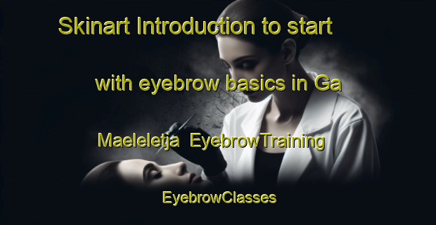 Skinart Introduction to start with eyebrow basics in Ga Maeleletja | EyebrowTraining | EyebrowClasses | SkinartTraining-South Africa