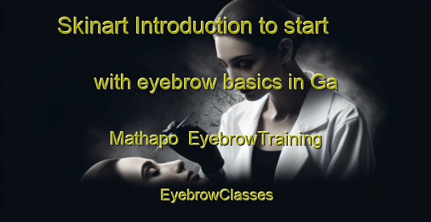 Skinart Introduction to start with eyebrow basics in Ga Mathapo | EyebrowTraining | EyebrowClasses | SkinartTraining-South Africa