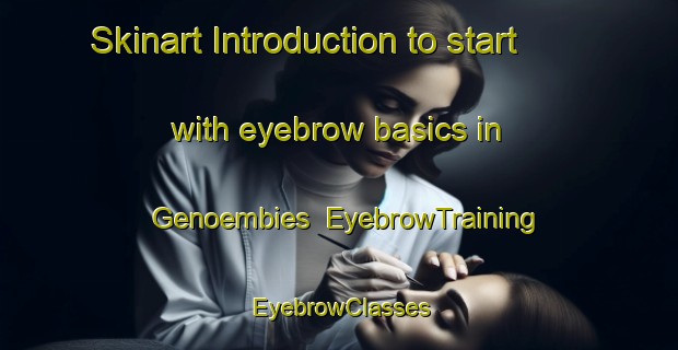 Skinart Introduction to start with eyebrow basics in Genoembies | EyebrowTraining | EyebrowClasses | SkinartTraining-South Africa