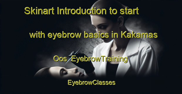 Skinart Introduction to start with eyebrow basics in Kakamas Oos | EyebrowTraining | EyebrowClasses | SkinartTraining-South Africa