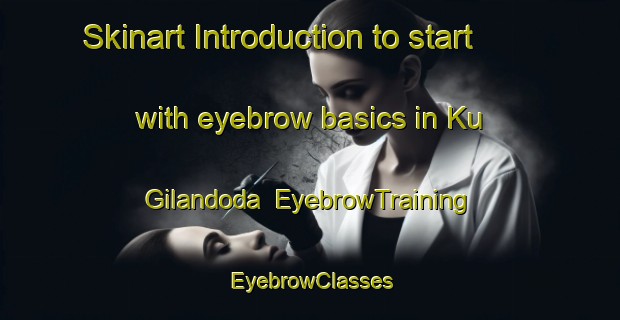 Skinart Introduction to start with eyebrow basics in Ku Gilandoda | EyebrowTraining | EyebrowClasses | SkinartTraining-South Africa