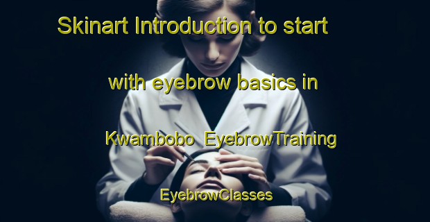 Skinart Introduction to start with eyebrow basics in Kwambobo | EyebrowTraining | EyebrowClasses | SkinartTraining-South Africa