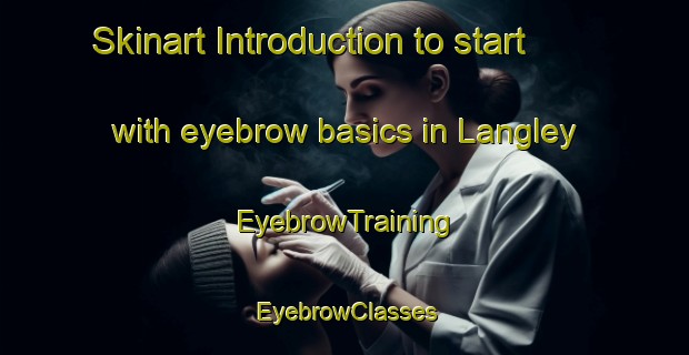 Skinart Introduction to start with eyebrow basics in Langley | EyebrowTraining | EyebrowClasses | SkinartTraining-South Africa