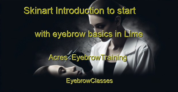 Skinart Introduction to start with eyebrow basics in Lime Acres | EyebrowTraining | EyebrowClasses | SkinartTraining-South Africa