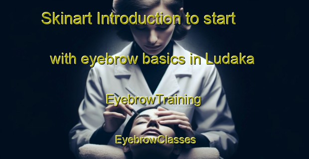 Skinart Introduction to start with eyebrow basics in Ludaka | EyebrowTraining | EyebrowClasses | SkinartTraining-South Africa