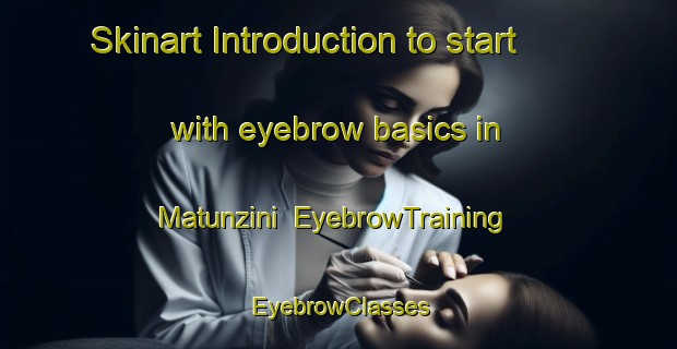 Skinart Introduction to start with eyebrow basics in Matunzini | EyebrowTraining | EyebrowClasses | SkinartTraining-South Africa