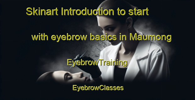 Skinart Introduction to start with eyebrow basics in Maumong | EyebrowTraining | EyebrowClasses | SkinartTraining-South Africa