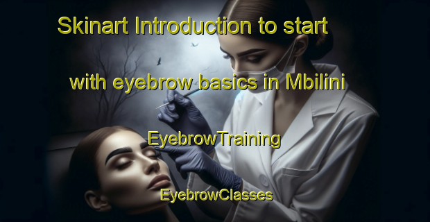 Skinart Introduction to start with eyebrow basics in Mbilini | EyebrowTraining | EyebrowClasses | SkinartTraining-South Africa