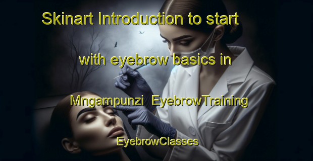 Skinart Introduction to start with eyebrow basics in Mngampunzi | EyebrowTraining | EyebrowClasses | SkinartTraining-South Africa