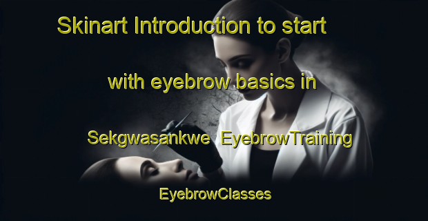 Skinart Introduction to start with eyebrow basics in Sekgwasankwe | EyebrowTraining | EyebrowClasses | SkinartTraining-South Africa