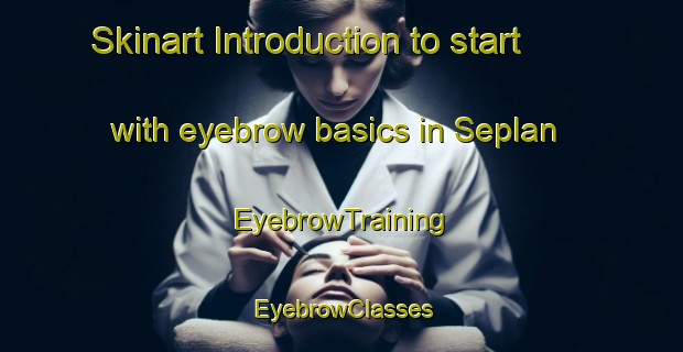 Skinart Introduction to start with eyebrow basics in Seplan | EyebrowTraining | EyebrowClasses | SkinartTraining-South Africa