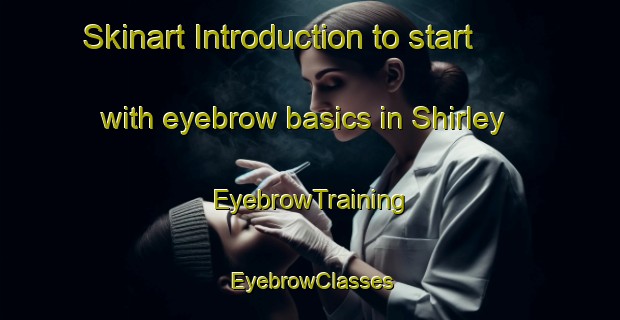 Skinart Introduction to start with eyebrow basics in Shirley | EyebrowTraining | EyebrowClasses | SkinartTraining-South Africa